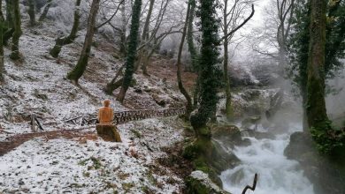 Photo of Το στοίχημα της Παύλιανης: Ένα παράδειγμα για το Μονοπάτι του Ασκληπιού στα Τρίκαλα